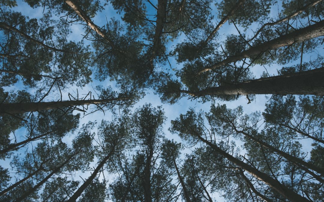 L’influence de l’air, en vous